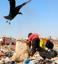 Lixão da Estrutural: The trash scavengers Lixão da Estrutural dump