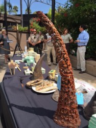 San Diego Zoo burns $1M in rhino items Photo/May Lee CCTV San Diego Zoo burns $1M in rhino items Photo/May Lee CCTV
