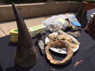 San Diego Zoo burns $1M in rhino items Photo/May Lee CCTV San Diego Zoo burns $1M in rhino items Photo/May Lee CCTV