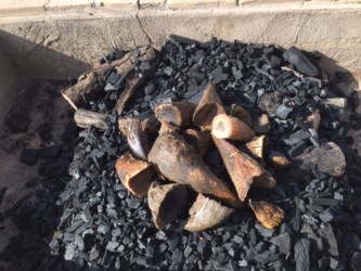 San Diego Zoo burns $1M in rhino items Photo/May Lee CCTV San Diego Zoo burns $1M in rhino items Photo/May Lee CCTV