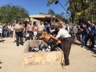 San Diego Zoo burns $1M in rhino items Photo/May Lee CCTV San Diego Zoo burns $1M in rhino items Photo/May Lee CCTV