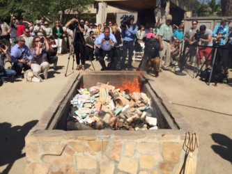 San Diego Zoo burns $1M in rhino items Photo/May Lee CCTV San Diego Zoo burns $1M in rhino items Photo/May Lee CCTV