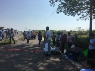 Public service strike in Veracruz