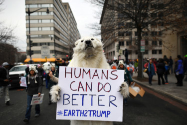Inauguration Day: Protest