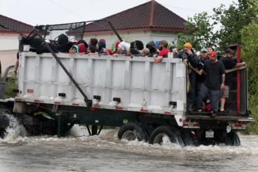 Texans seek rescue and refuge from Harvey