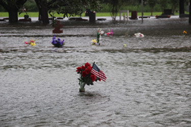 Texans seek rescue and refuge from Harvey