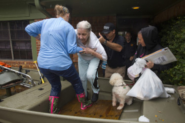 Texans seek rescue and refuge from Harvey