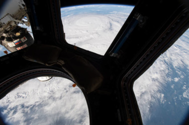 Harvey from NASA Harvey from NASA