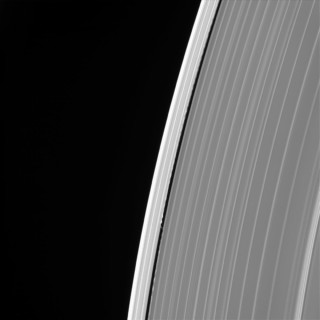 Daphnis Daphnis