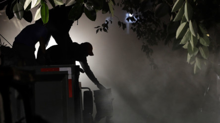 Photos: Aftermath of Mexico City earthquake