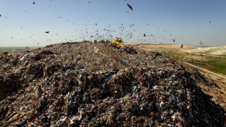 Drowning in Plastic