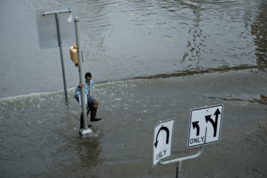 Houston seeks refuge from Harvey