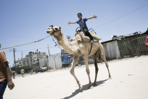 Eid al-Fitr festival in Palestinian Eid al-Fitr festival in Palestinian