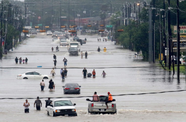 Houston seeks refuge from Harvey