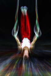 Olympians in motion: Gymnastics