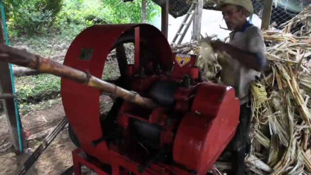 Panela production a way of life in Colombia
