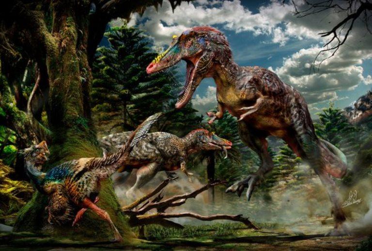 Pinocchio Rex: New Dinosaur Species Discovered in China