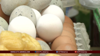 Egg-less mayonnaise makes its way to China