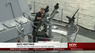 NATO meetings: Ukraine and Iraq expected to top agenda