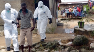Africa could reach 20,000 Ebola cases in upcoming months