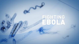 Fighting Ebola