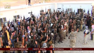Islamic State fighters