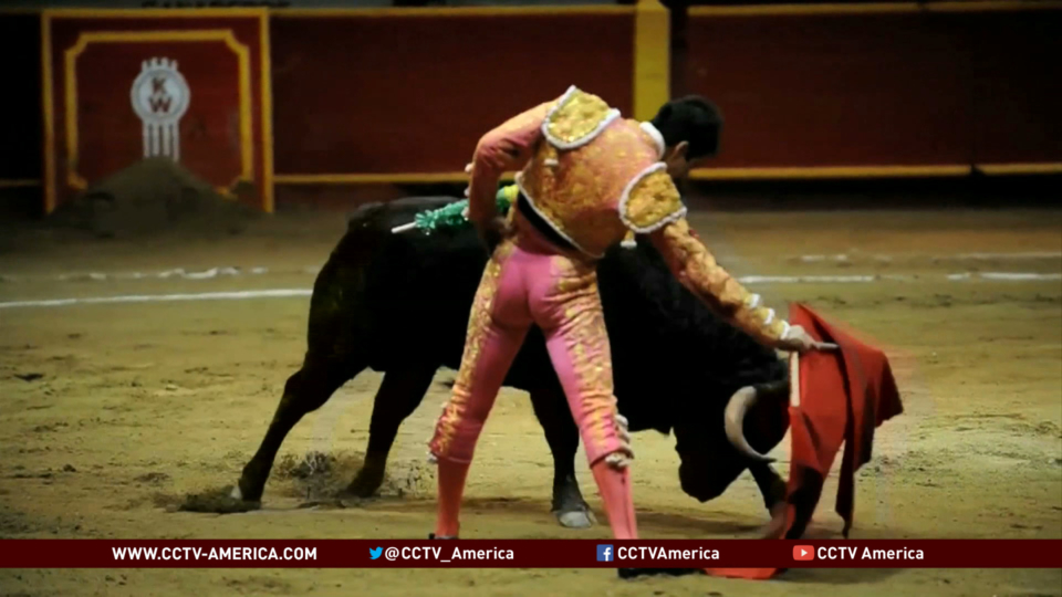Bullfighters On Hunger Strike In Bogota After Sport Banned Cgtn America