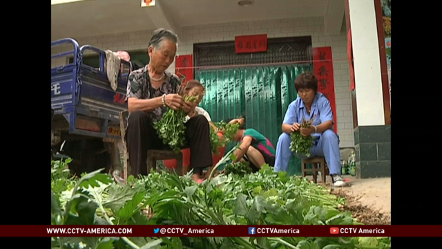 Reforms to China's Hukou system will largely impact farmers, migrants