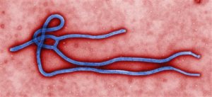 Ebola-Q&A
