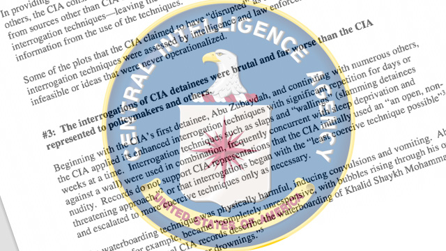 Senate CIA torture report
