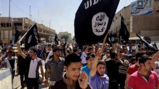 Mideast Islamic State