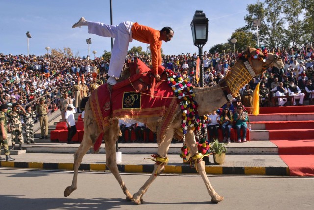 An Indian member of the Border Security Force Barmer Camel Training School performs during the closing ceremony of the Camel Safari expedition at the Indian Pakistan Wagah Border post on March 22, 2015. In a joint venture by the BSF and Tata Steel Adventure Foundation, 20 women are participating in the expedition which is a part of the BSF's Golden Jubilee. The expedition started from Bhuj and will culminate at the India-Pakistan Wagah border post on March 22, after travelling some 2300 kms.  (AFP/ Narinder Nanu)