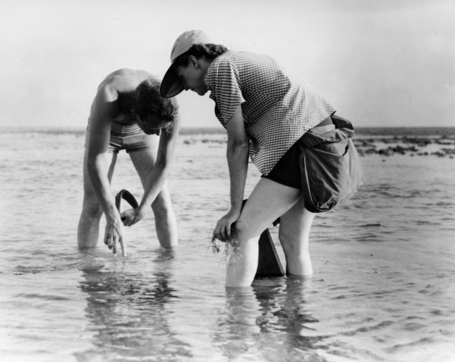 (L) Bob Hines and Rachel Carson (R) on the Atlantic coast (1952) [Photo: U.S. Fish and Wildlife Service]