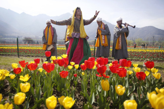 Kashmiri traditional folk dancers perform during the season's opening of the tulip garden in the Siraj Bagh locality in India in the Kashmir state. The tulip garden is claimed to be the largest in Asia and rests along the Zabarwan Hills in the city of Srinagar. Photo taken Monday, April 6, 2015. The opening of the flower garden in Kashmir revealed over 1.2 million tulip bulbs of nearly 60 varieties in bloom, marking the beginning of a new tourism season in the valley. (AP/ Mukhtar Khan)