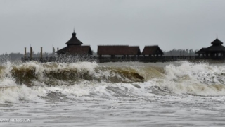 Typhoon Kujira makes landfall in south China