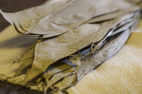 Take out dry bamboo leaves form the bag