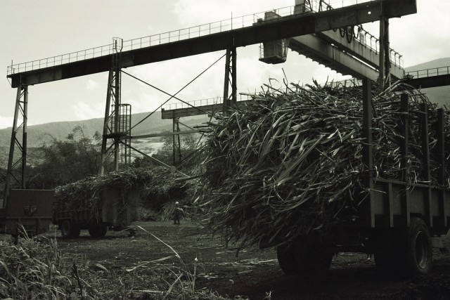 Sugar cane packing on Reunion Island(Carsten aus Bonn / flickr)