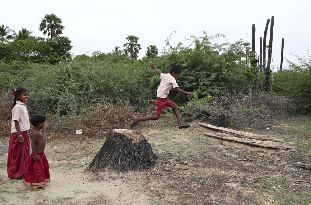 In this June 17, 2015 photo, children play in fields taken over by thorny salt-tolerant bushes called Prosopis juliflora in the village of Sirudalaikkadu, near Vedaranyam, India. On a sun-scorched wasteland near India's southern tip, an unlikely garden filled with spiky shrubs and spindly greens is growing, seemingly against all odds. The plants are living on saltwater, coping with drought and possibly offering viable farming alternatives for a future in which rising seas have inundated countless coastal farmlands. (AP Photo/Aijaz Rahi)
