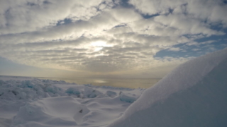 Arctic