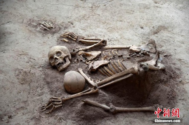 These two skeletons were captured in a moment together - possibly with one person trying to protect the other by shielding them with their body. 