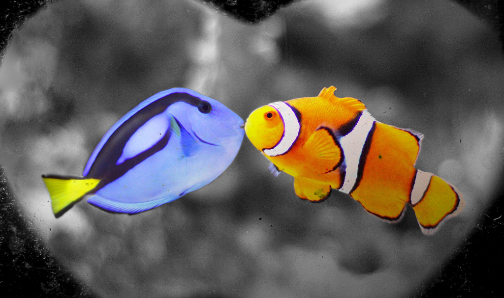 Losing Nemo: Find out which animal characters are in danger in real life