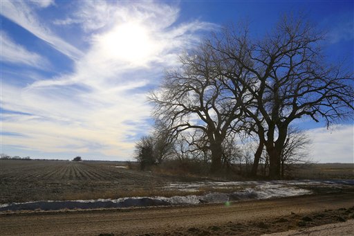 In this Jan. 16, 2015 file photo, trees dominate a field through which the Keystone XL pipeline is planned to run, near Bradshaw, Neb. The company behind the controversial Keystone XL pipeline from Canada to the U.S Gulf Coast has asked the U.S. State Department to pause its review of the project. TransCanada said Nov. 2, 2015, a suspension would be appropriate while it works with Nebraska authorities for approval of its preferred route through the state. (AP Photo/Nati Harnik, File)