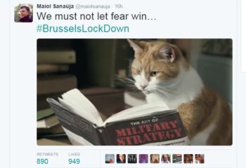 Belgians respond to #BrusselsLockdown with tweets of cat photos