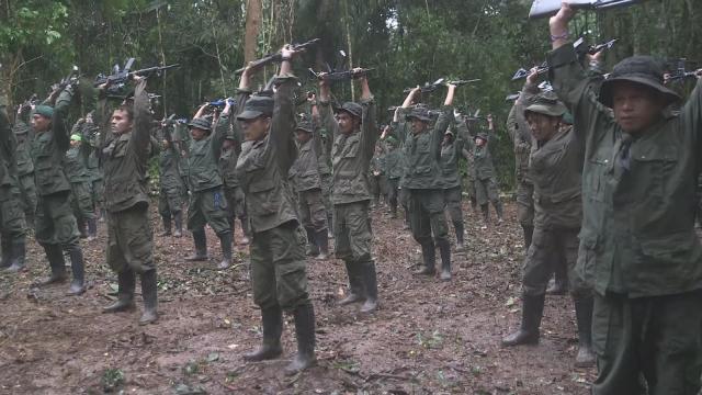 This week on Americas Now: Colombia FARC