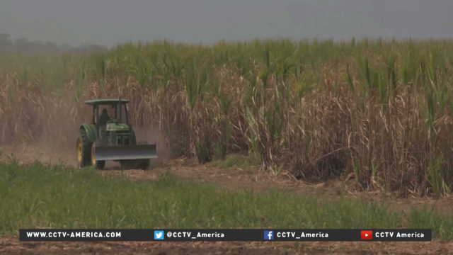 China to open Asia's biggest sugar mill in Cambodia