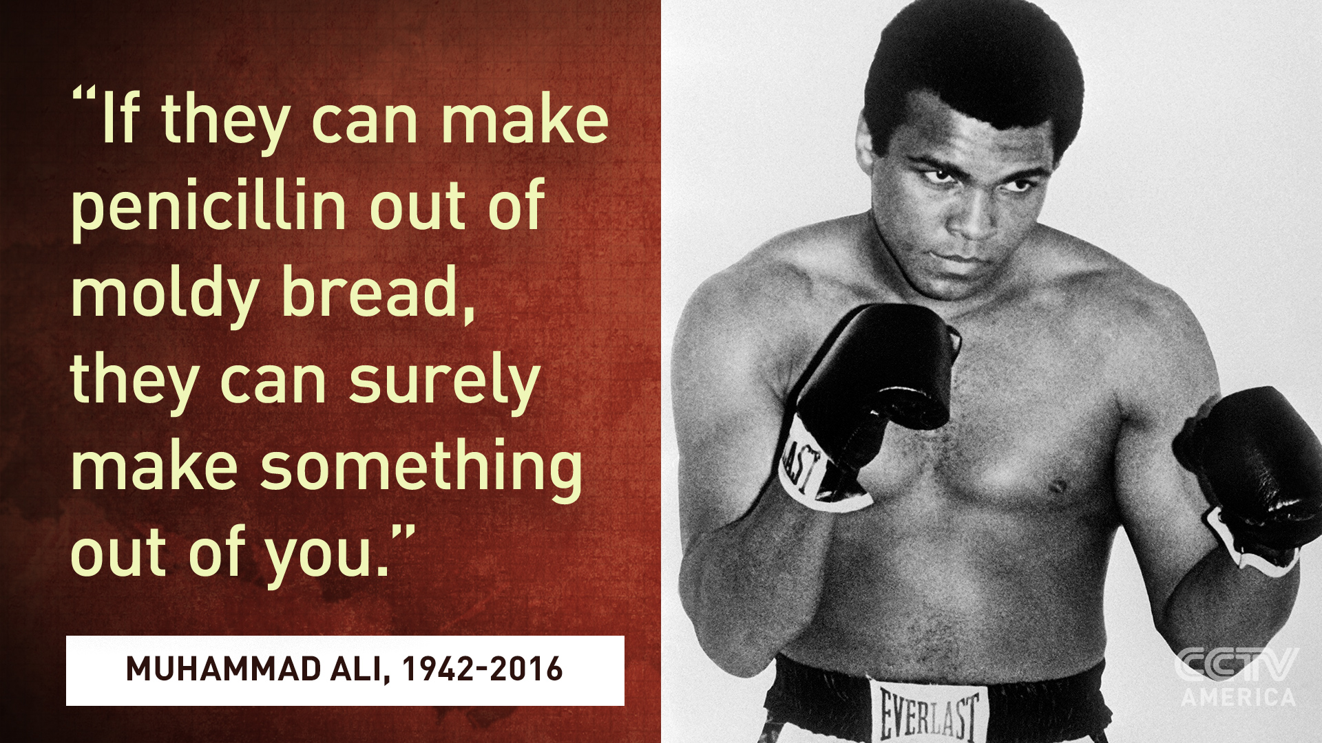 Ali Quote: If they can make penicillin out of moldy bread, they can sure make something out of you.