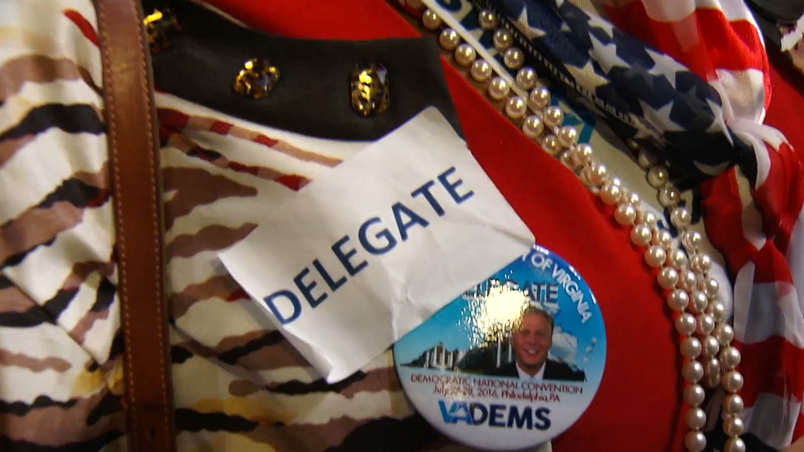 A display of diversity among Democratic delegates