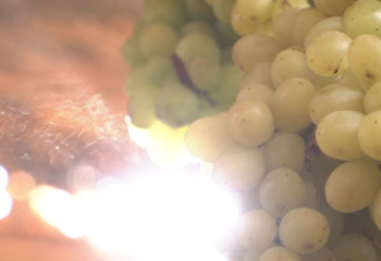 Seedless White grapes