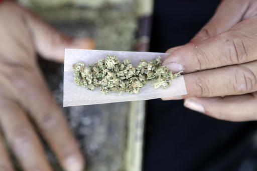 2016 Election Marijuana Whats Next