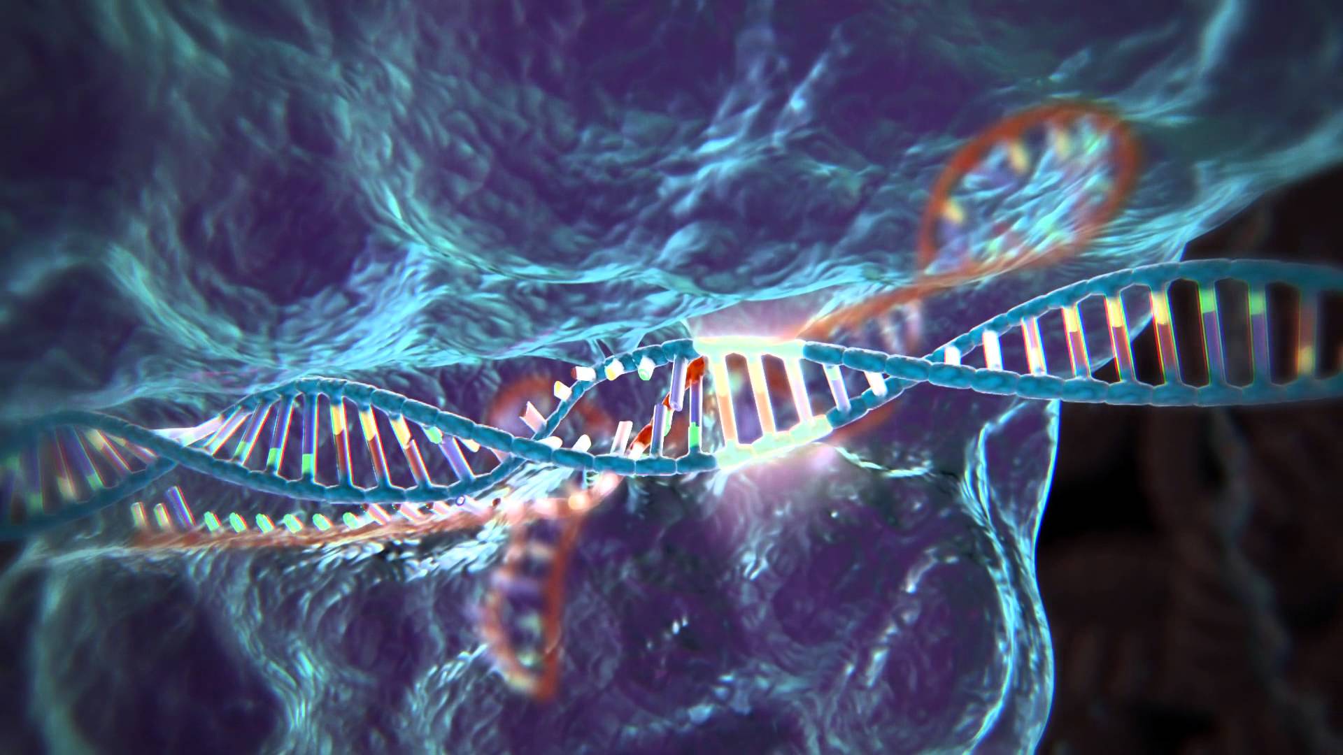 Chinese scientists first to use CRISPR gene-editing in humans